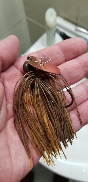 brownish-chatterbait.jpg