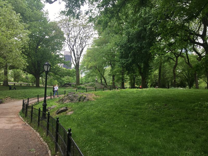 23A42C16-5264-4DCD-9993-22FF80CBF3AD