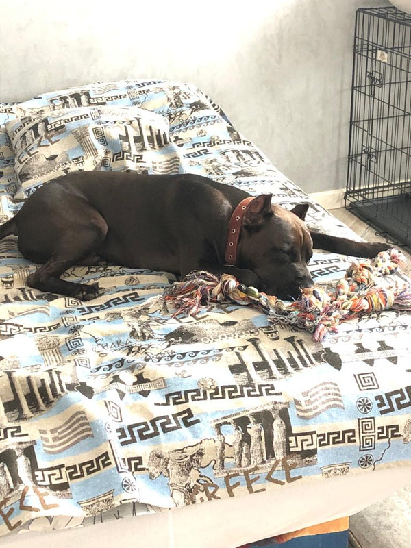 C8568C14-3A56-447A-B4CD-1A14485CCF0F