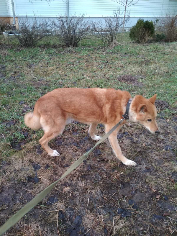 изображение_viber_2020-02-14_17-28-27