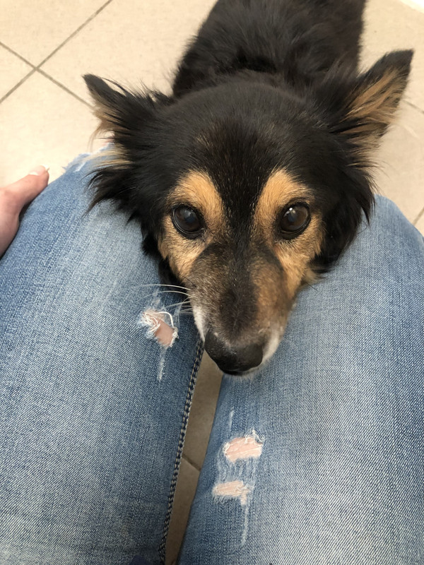 F7A9446A-4BD1-4E1D-8825-E33C7FD3DAD7