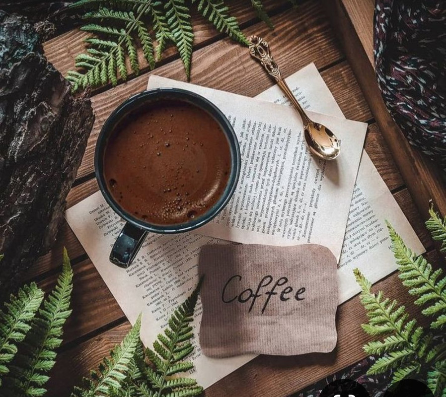 Screenshot_20240706_221731_Pinterest