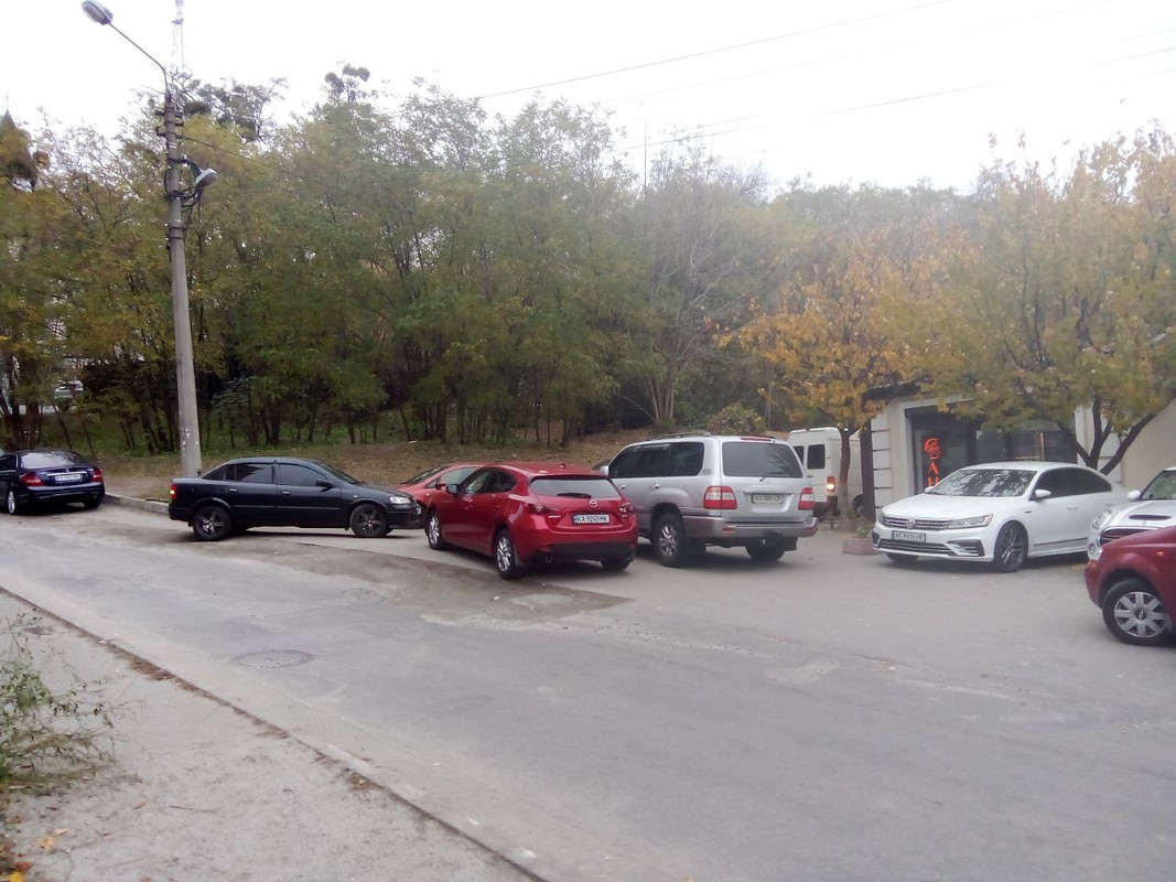 photo_2024-11-12 4.59.31 пп