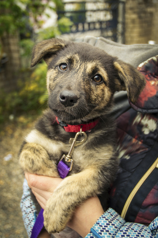 FFC80184-DBBB-4DB5-A3F4-4B4F07F0474B