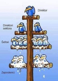 FB_IMG_1688276837812