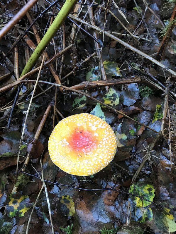 9A57043C-308D-4A41-8AB4-37BB65A4599F