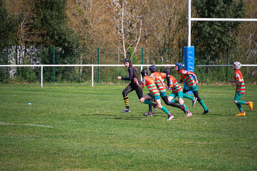 tournoi-de-latlantique-2026-adonis-griffon-52-55181549129-l