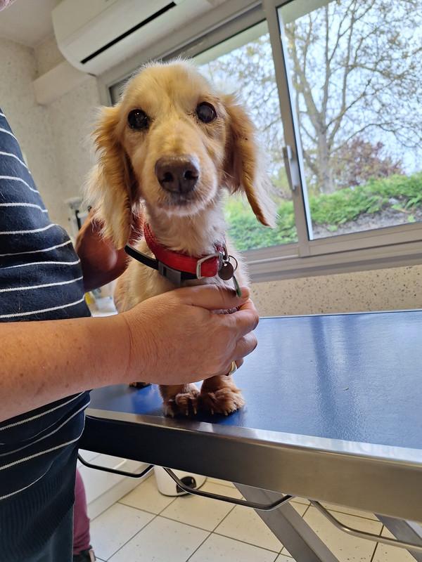 [Image: 20240419-172339.jpg]