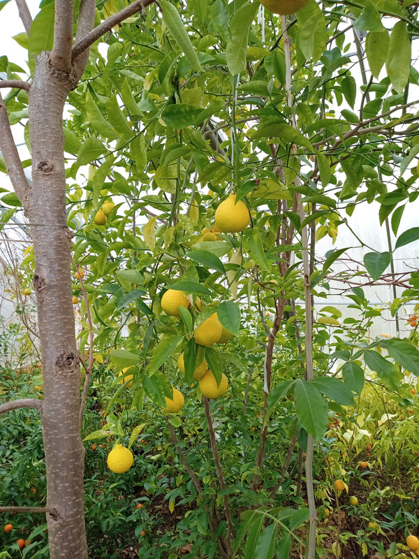 IMG 20251122 091211471 MFNR