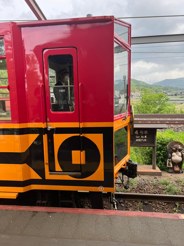 494429110 9957822834238867 8321740603315538576 n