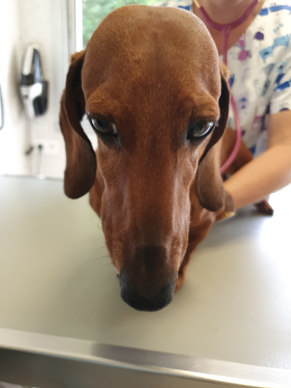 [Image: 20220616-183751.jpg]