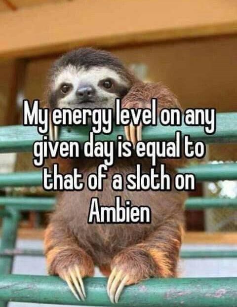 energey_level_like_sloth_on_ambien.jpg