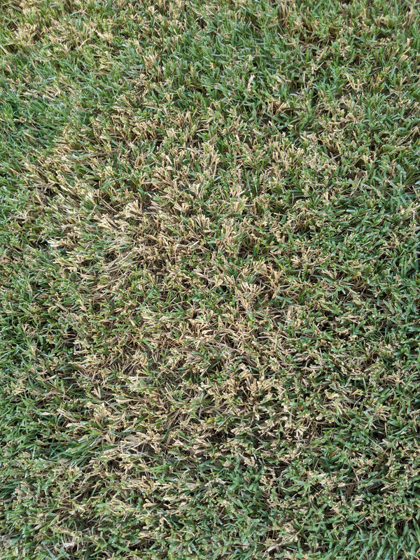 PXL_20200804_211624196.MP