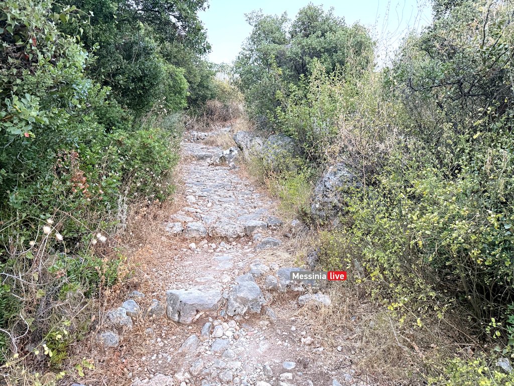 AGIA-SOFIAIMG-0737
