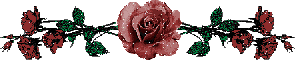 top rose