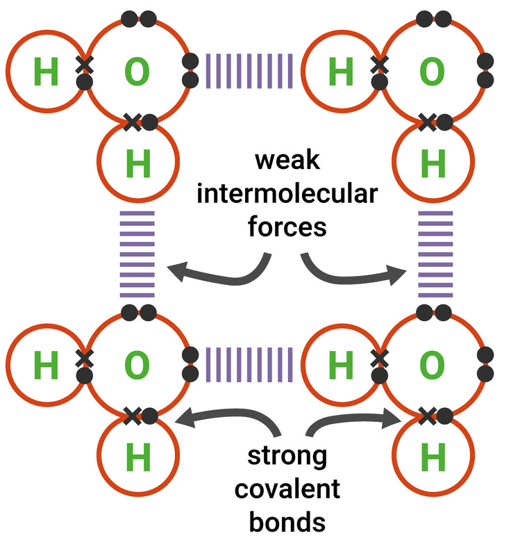 Intermolecular forces between simple compounds