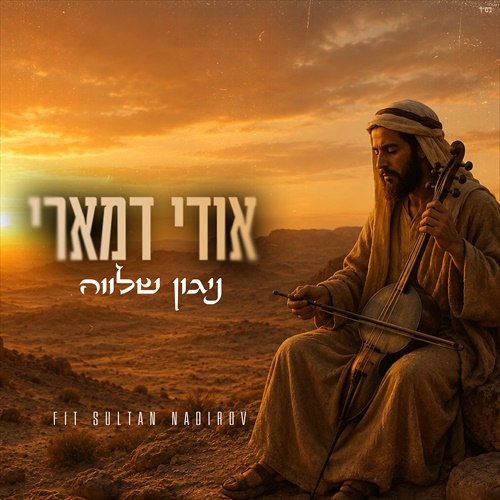 תמונה
