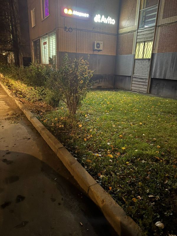 586582C6-6DE9-48B7-81B0-BF5000566F84