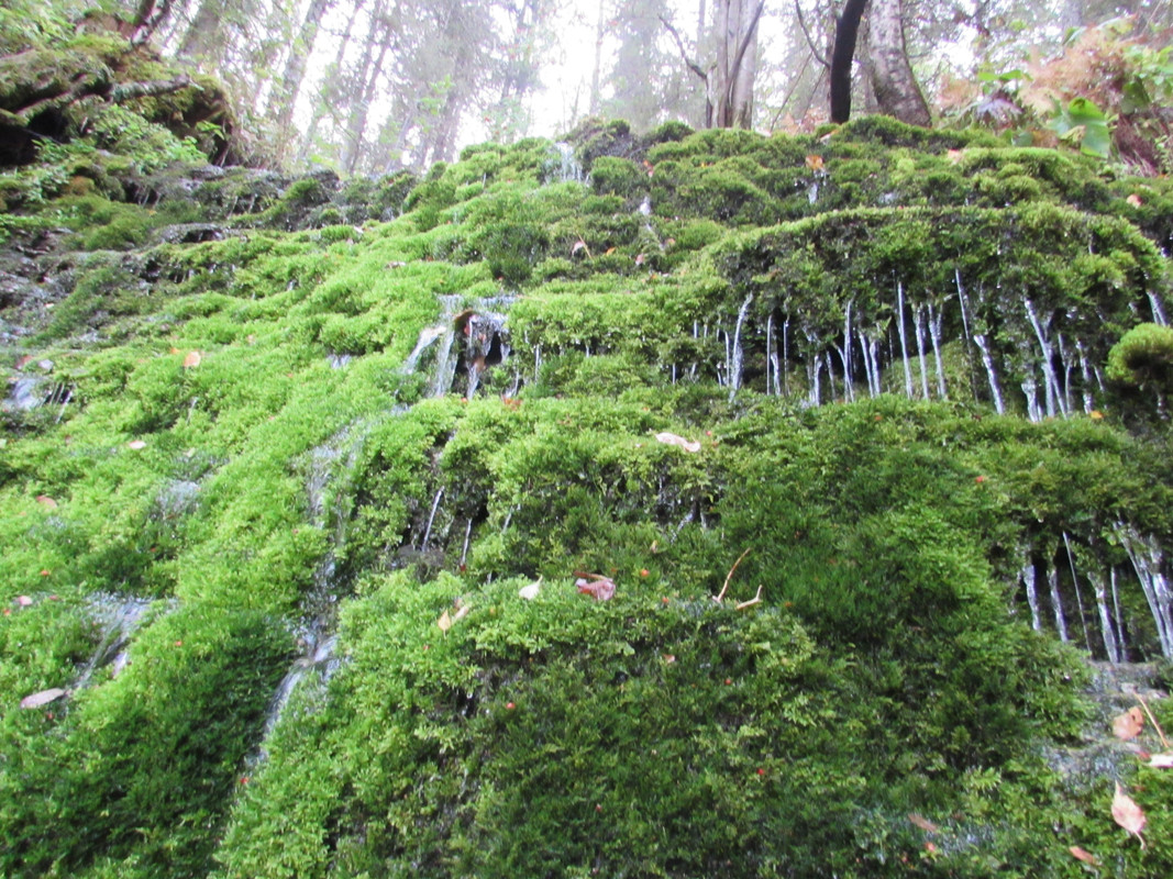 Водопадик у Дивьей