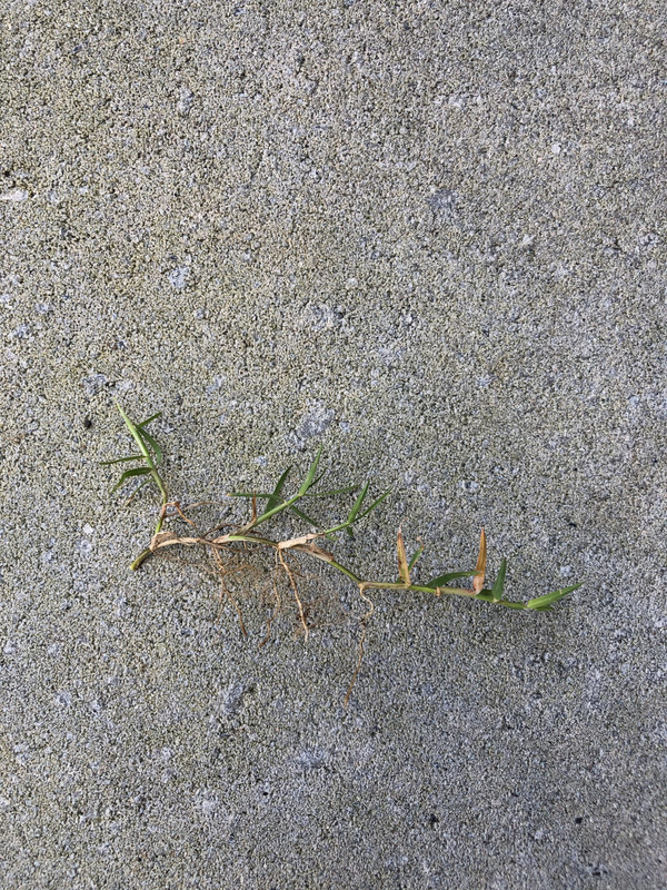 17FD5DD3-6616-4ACB-8DAA-A969AA3FD4FD