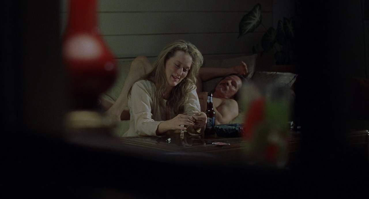 Adaptation 2002 (1080p x265 10bit Tigole).mkv_sn