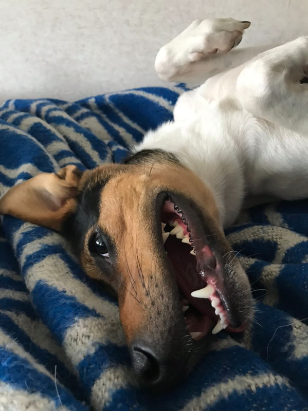 D275F726-9679-4339-AD07-6B446712705A