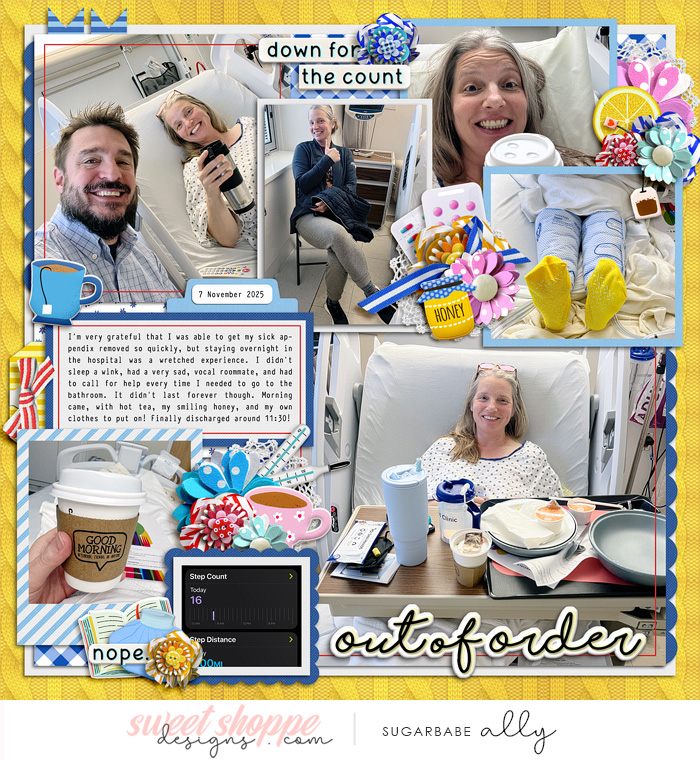 allyanne_Palooza616_Sick_Day_WM.jpg