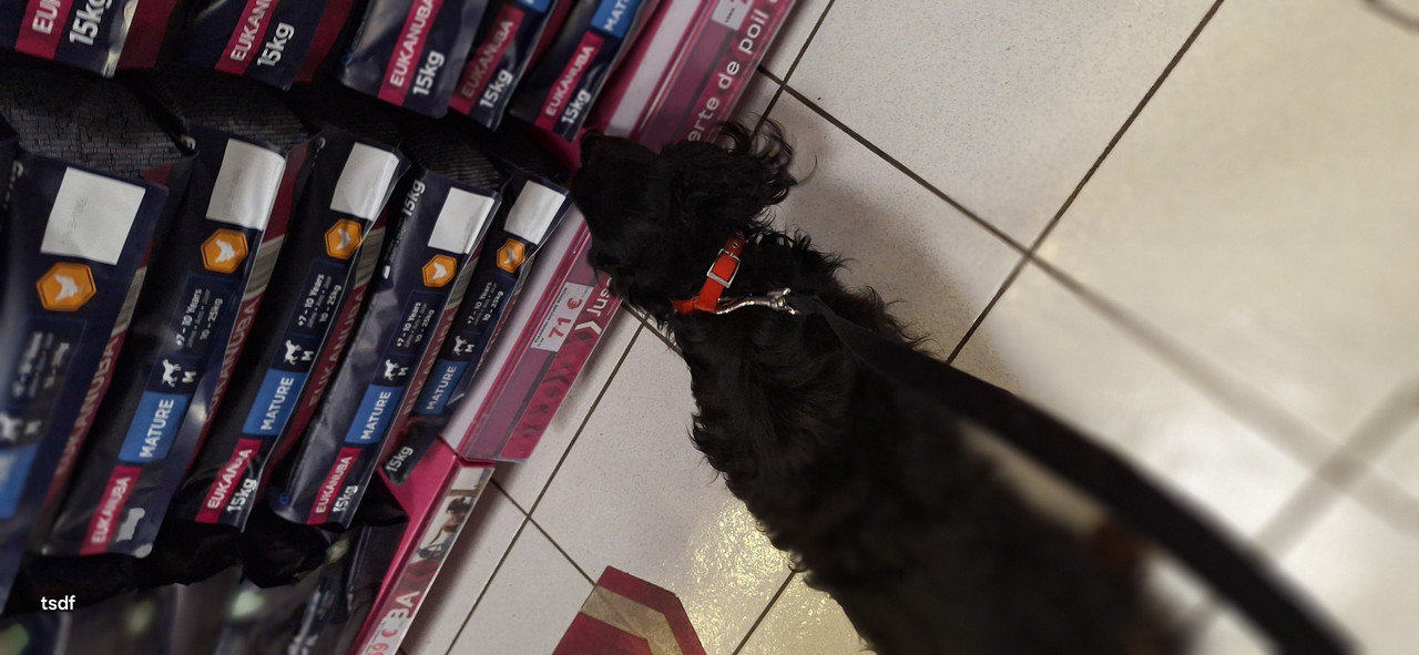 [Image: 20250317-160339.jpg]