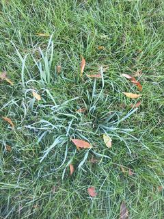 3744A1A5-3941-48C1-BC6F-026EDD42276A