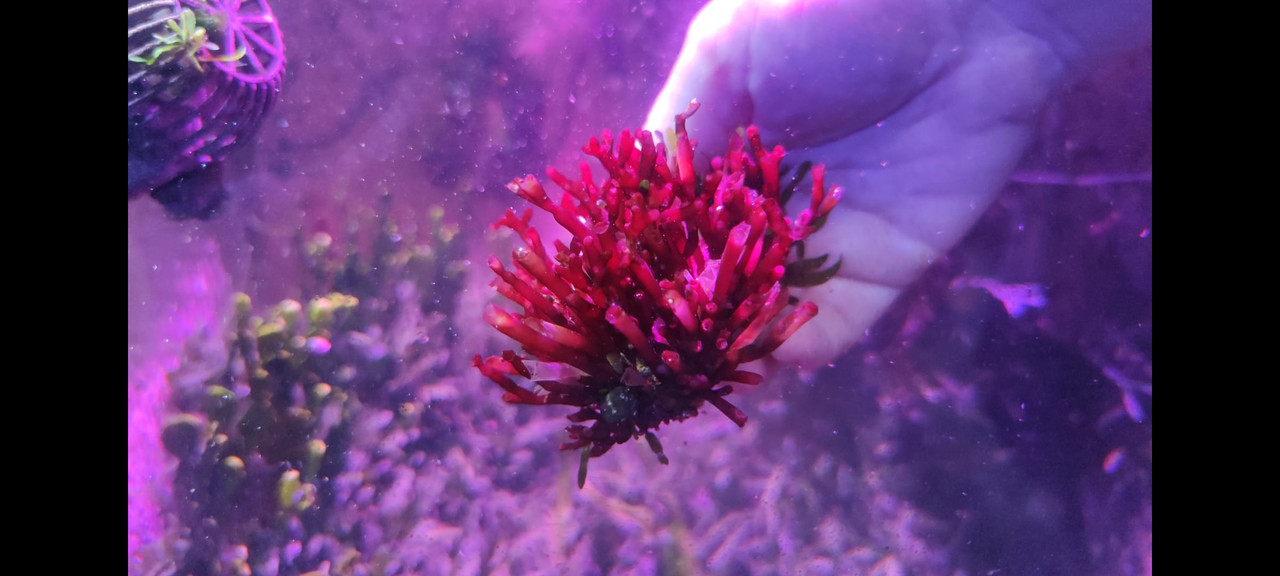 Screenshot_20211008-092649