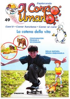 Esplorando il corpo umano N. 49 - La catena della vita