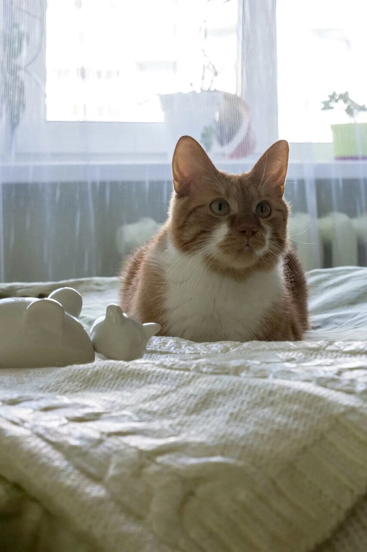 A94BD32A-36EF-4375-9EBE-818C4A8E77EC