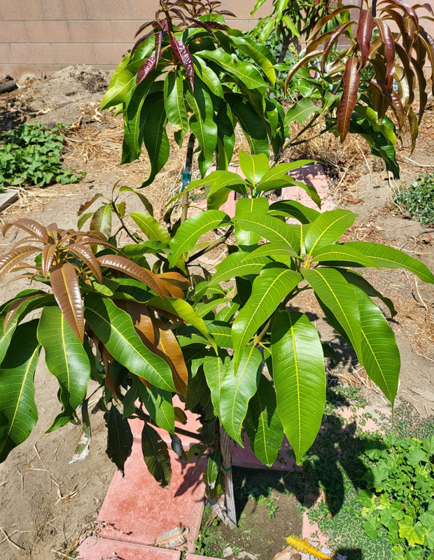 Screenshot_20220715-113609_Gallery