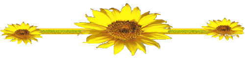 122404-F1-Ixuj8-B.gif