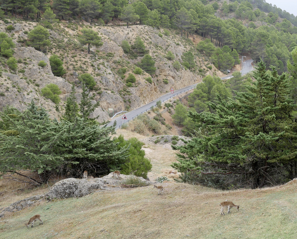 5C8966B6-A83A-4CC4-B2D8-26C4A6441C4C