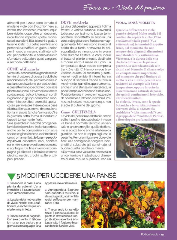 Pol Ver Gen-Feb 2022 (4)