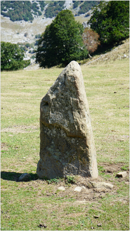 DSC08067