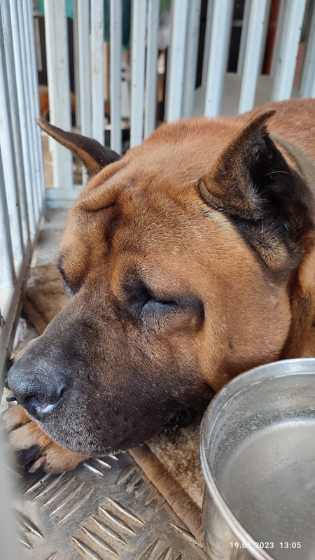 EFFE8F07-B461-475B-A78B-1F951B2B1F13