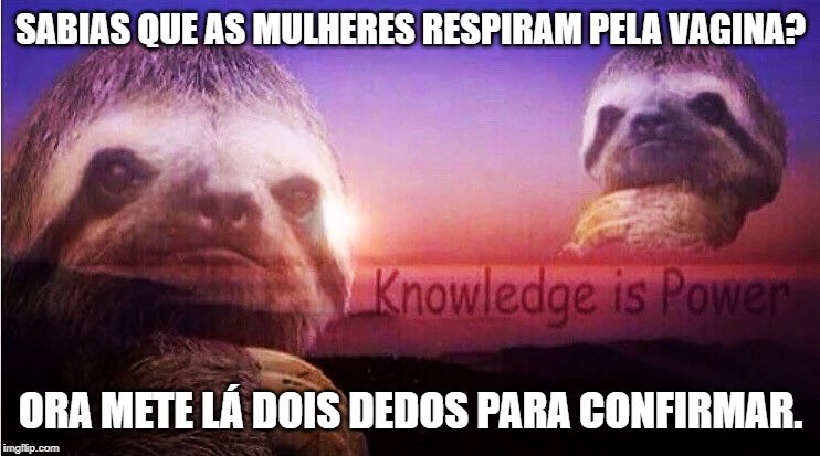 37ppuo.jpg