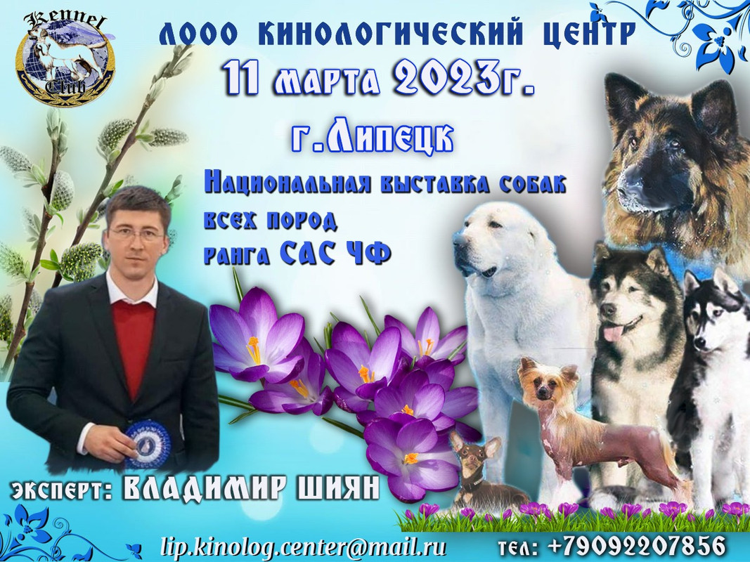 На выставке собак. Липецк выставки собак 2024 март Зоопортал. Фестиваль собак афиша. Зоопортал Новосибирск.