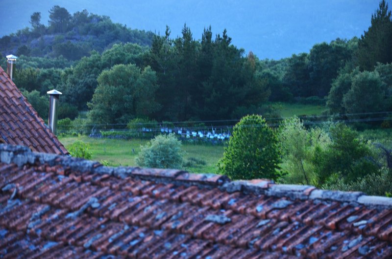 PUXEDO-28 Y 29-5-2024 - Galicia y sus pueblos - 2017/2024 (48)