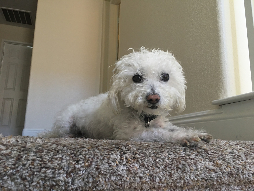 063664D1-A990-4362-9703-7E2AC95B4DA2