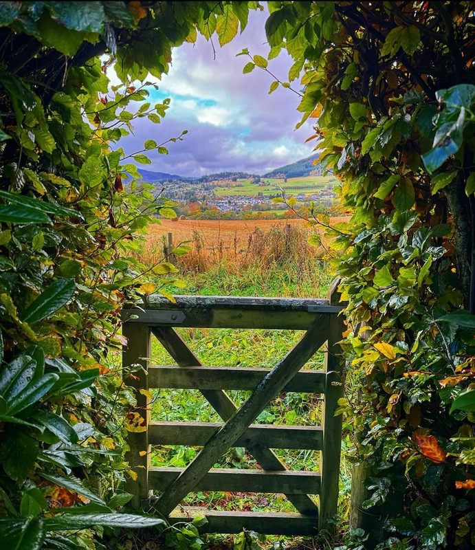 Screenshot_20231208_215444_Instagram