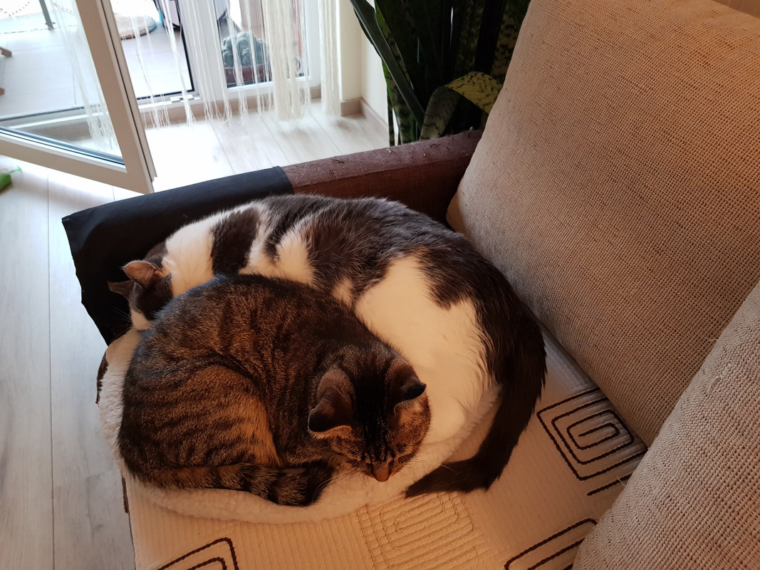 20191027-141709.jpg