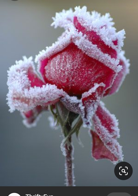 Screenshot_20230515_222230_Pinterest