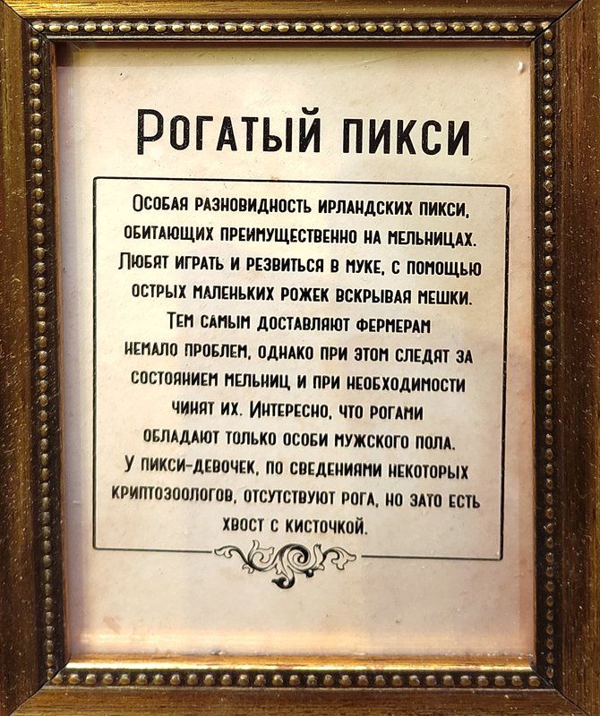 https://i.postimg.cc/B6CGJ0VW/060-IMG-20250128-145341.jpg