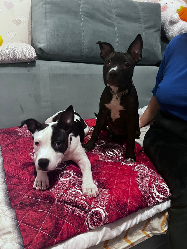 EB540E30-75C2-4757-A5DC-C363806F4E58