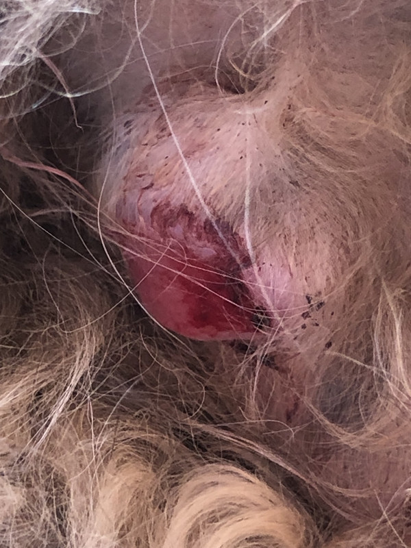 3D2AD2EA-E3F4-47E6-8529-B66EBE893D6B