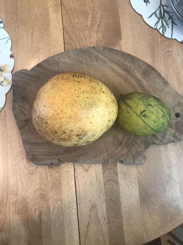 D34C6377-AB35-4A68-89B0-2F6C5EA93EA8