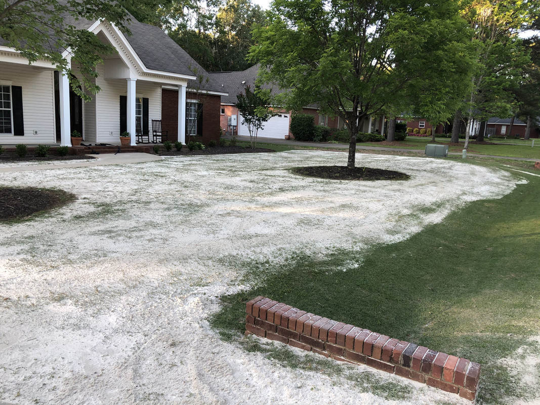 82659299-F361-4EF8-86D3-F27E7D4D25BA